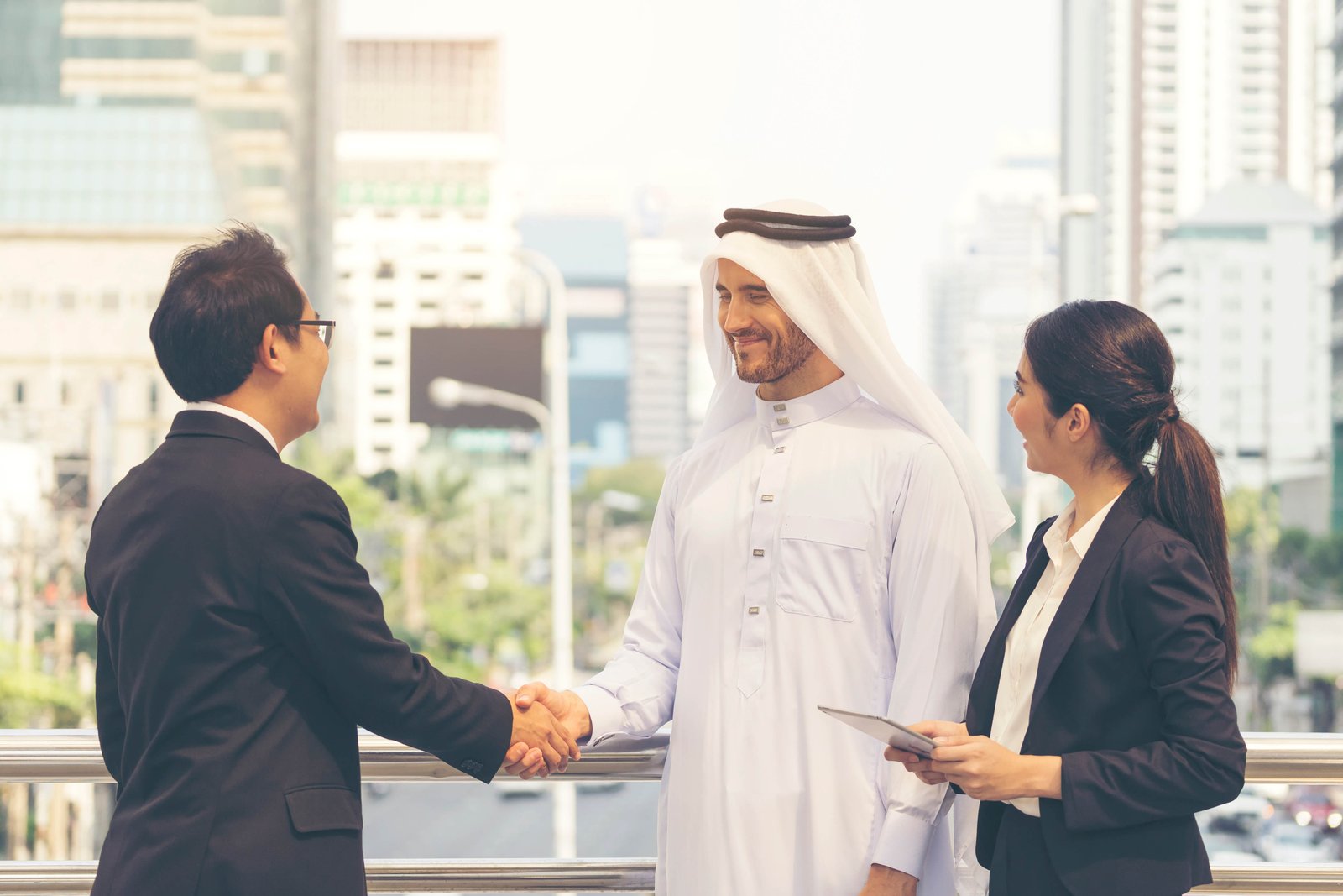 Cross-cultural deal mediation and advisory